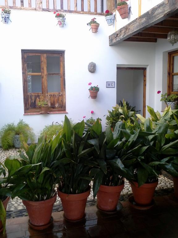 Cuevas Pedro Antonio De Alarcon Appartement Guadix Buitenkant foto